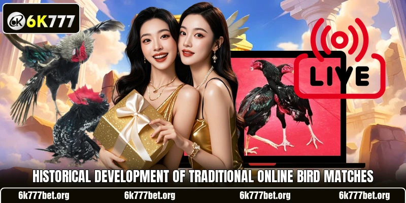 Historical development of traditional online bird matches