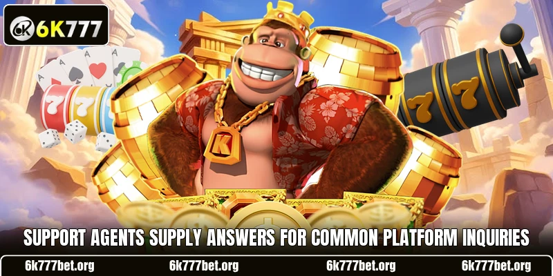 Support agents supply answers for common platform inquiries