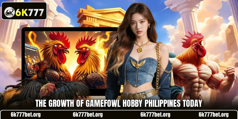 The growth of gamefowl hobby philippines today